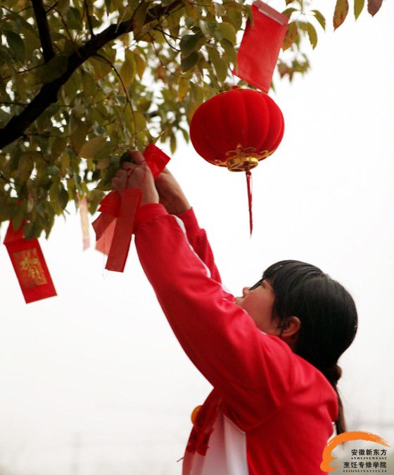 【正月十五专属】当汤圆遇上红包雨