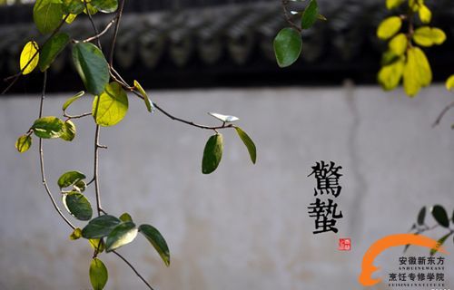 ������ƪ������ϵ�24����֮���������ˡ�ɽҩ���Źǡ�