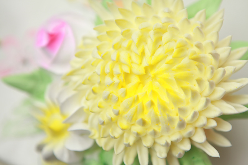 ŴңĬĬ㲻˵