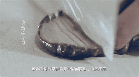 ֮˴ʦϰпȺʳƬ