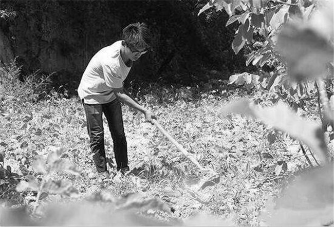 ����㣬���ι��棬��������