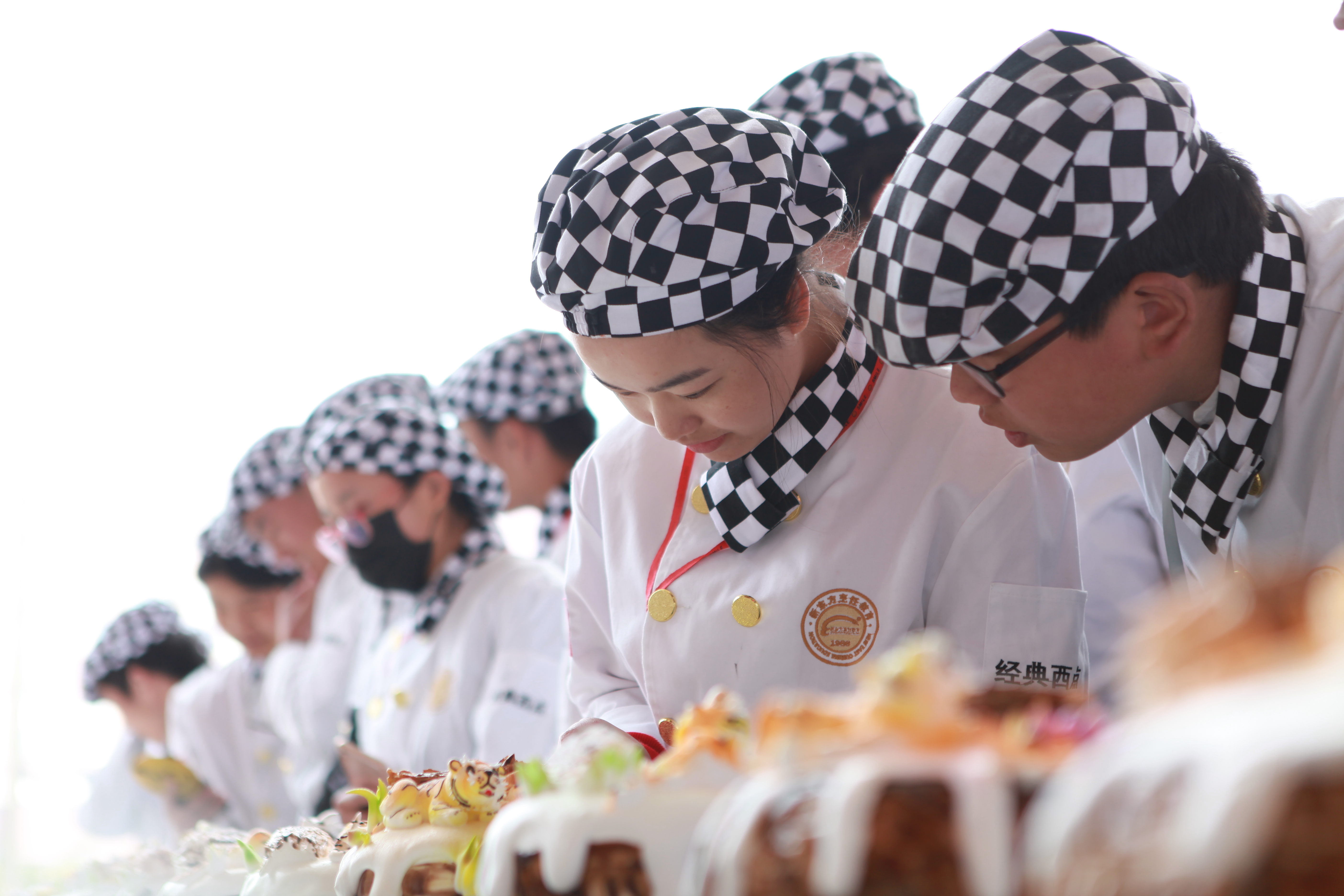 Ů��ѡ��ѧһ��ʲô���ļ������أ�