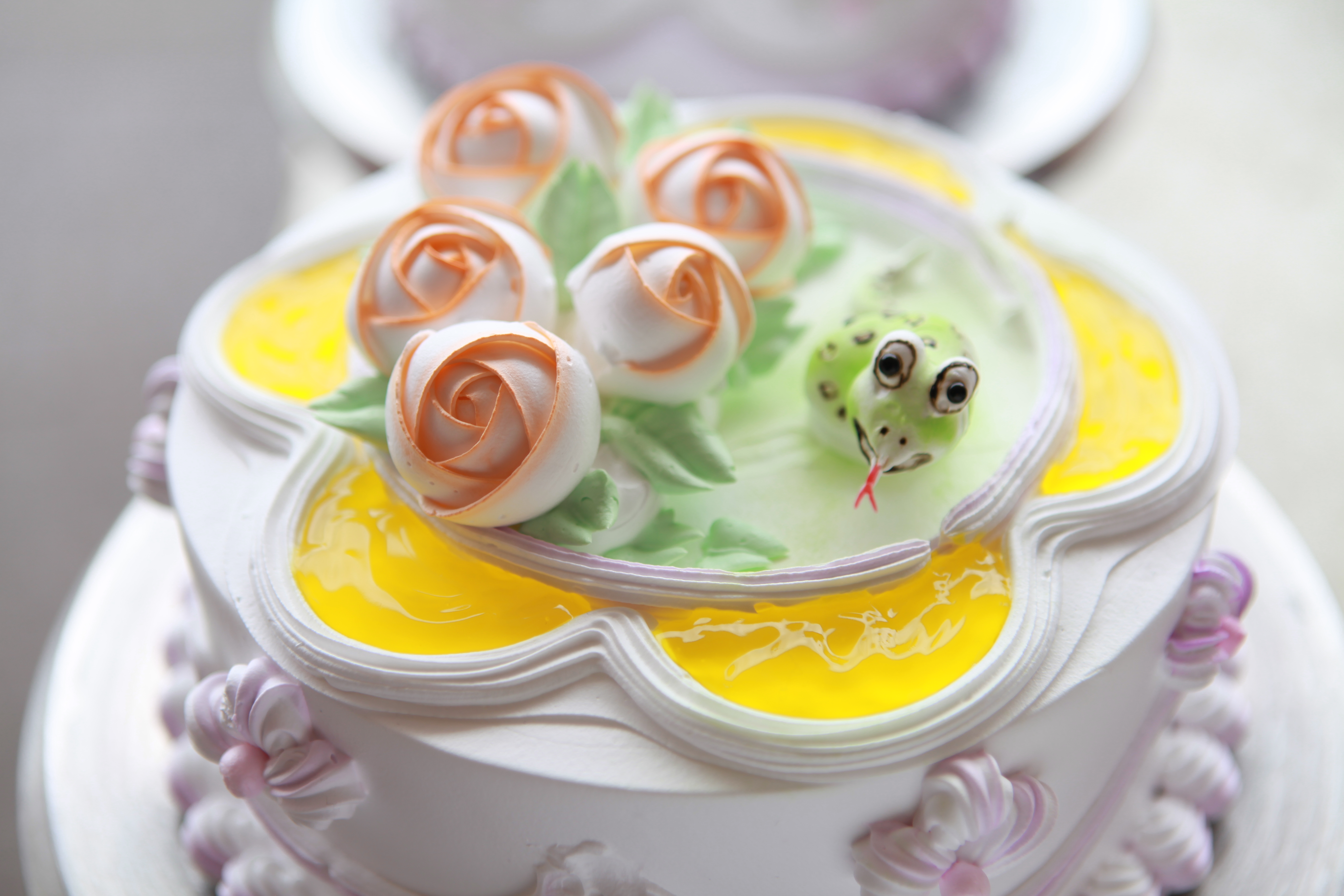 ѧ������������決С����