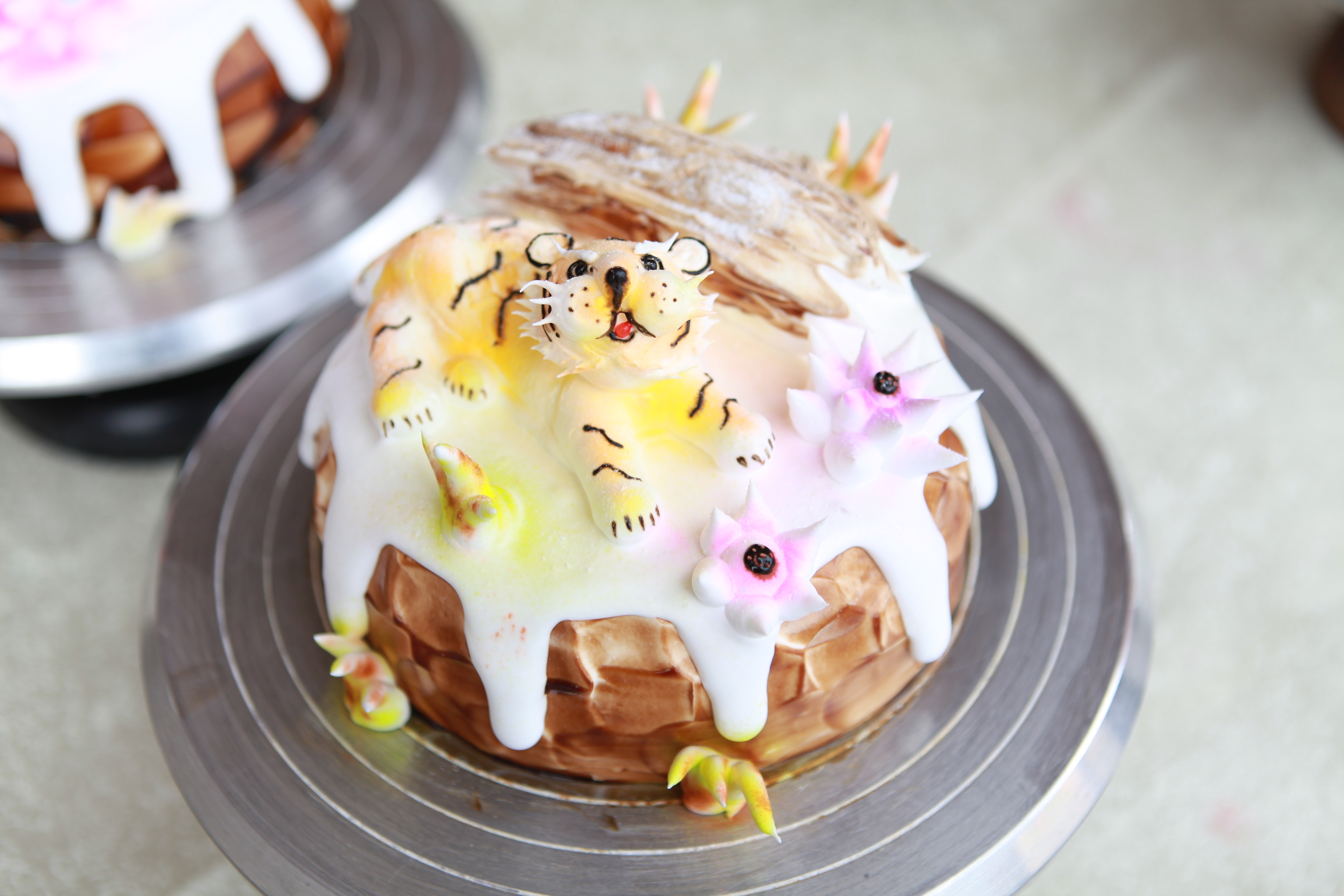 Ů��ѧʲôרҵ�ȽϺô�ҵ�أ�