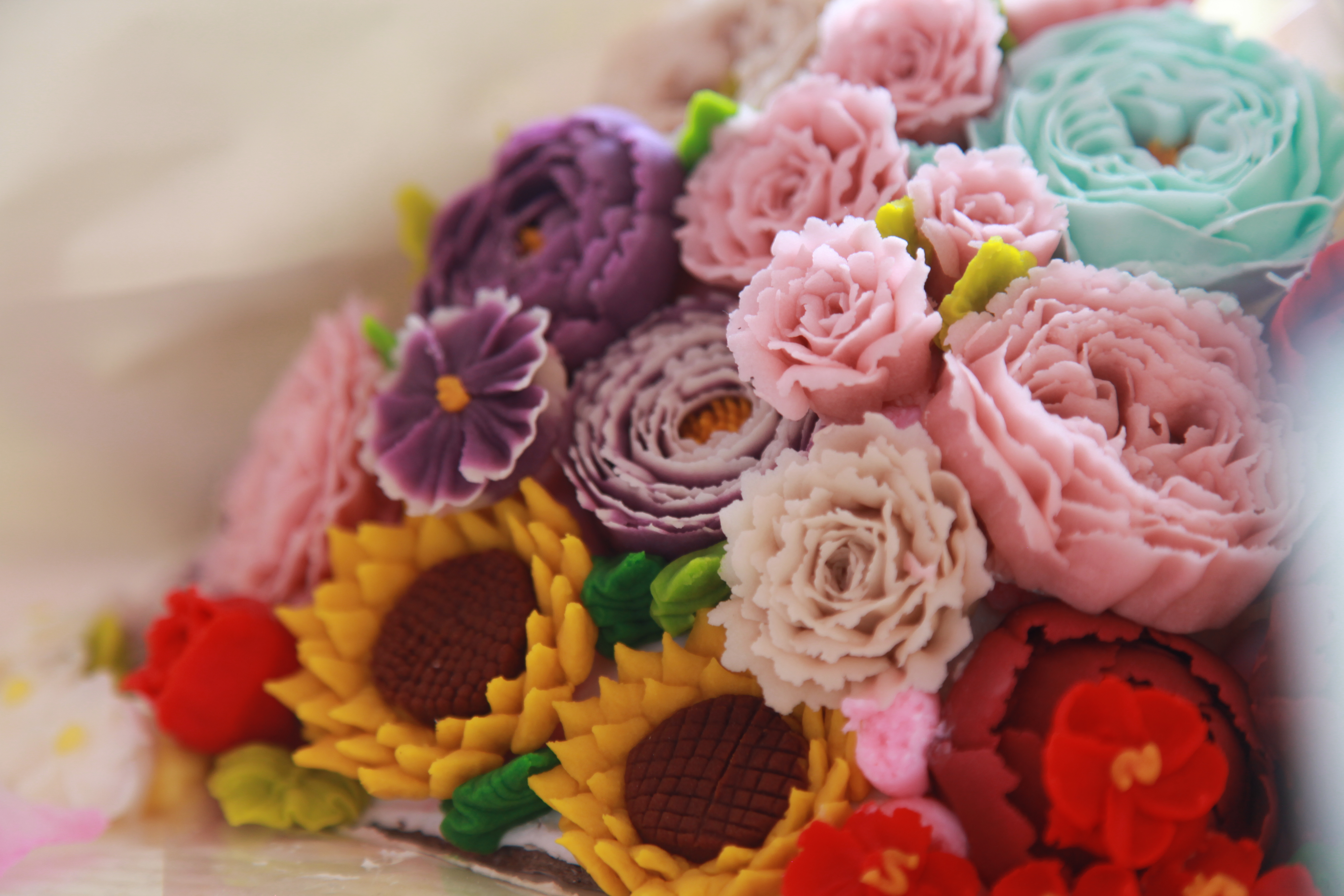 �¶������ѧУ�в�רҵ��ô��