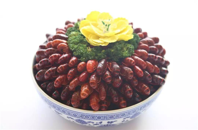 ����ʳ���ԡ��Ⲩ�Դ��˾�����Ʒ�ɹ�չ����������θ�ڴ󿪣�