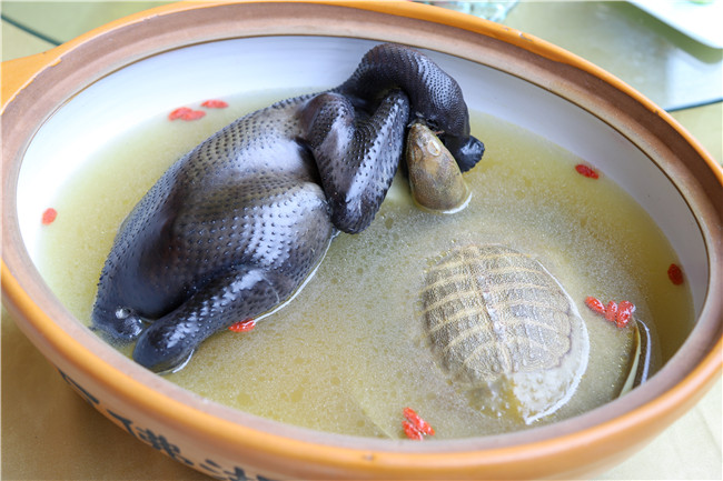 少荃家宴”主题设计大赛——学长与学弟之间的较量!