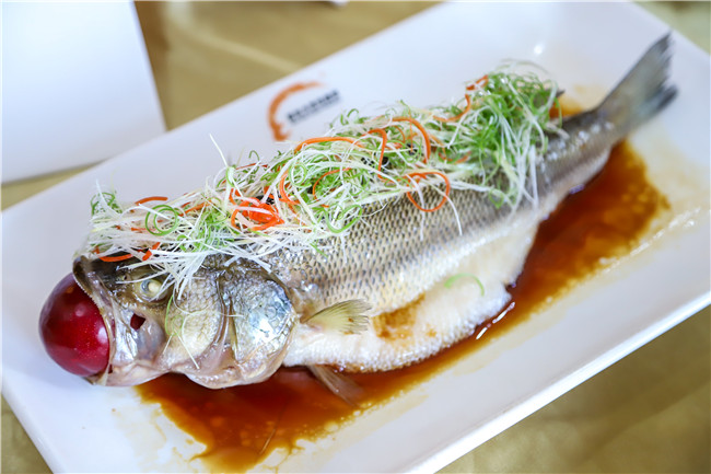 ���в���Ʒչ���ó��ռ�֤�ɳ�