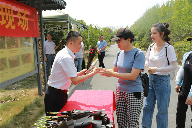 ������գ�ֻ���ڿɰ������ǣ�