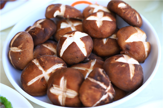 �����Ļ����ϯ�����Գ���һ�죡