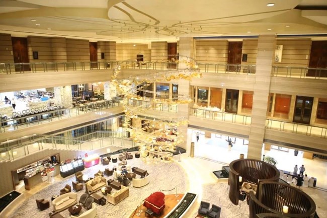 2020������·���ѧ���������������룡