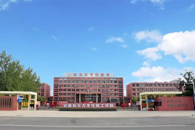 2020������·���ѧ���������������룡