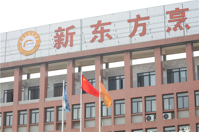 ���죬���񣡰����¶������ƶ˳��찮���黳��