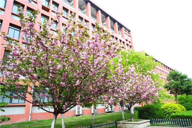 ����ѧ����ʱ3�졿У԰��������ֻ��ѧ���飡