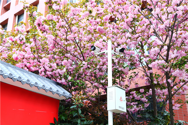 ����ѧ����ʱ3�졿У԰��������ֻ��ѧ���飡