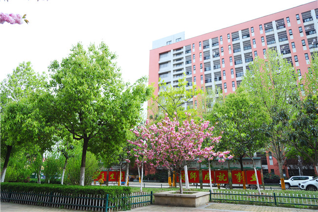 ����ѧ����ʱ3�졿У԰��������ֻ��ѧ���飡