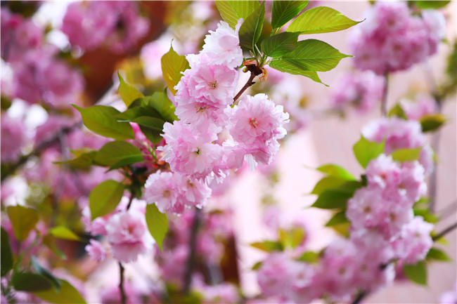 ����ѧ����ʱ3�졿У԰��������ֻ��ѧ���飡