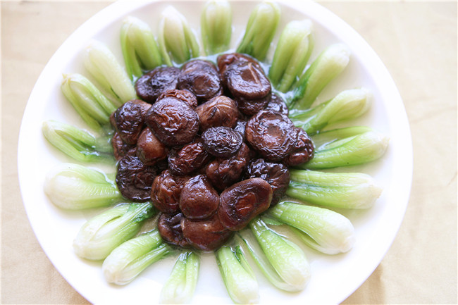 ��5��4����ڡ��ջ�һ�����Խ�����רҵ������ɹ�չ��