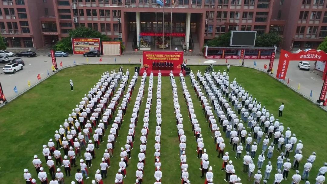 ��ְ���˹��������˰�����¶���2019����е�ְҵ�������ҽ�ѧ��䷢��ʽ¡�ؾ��У�