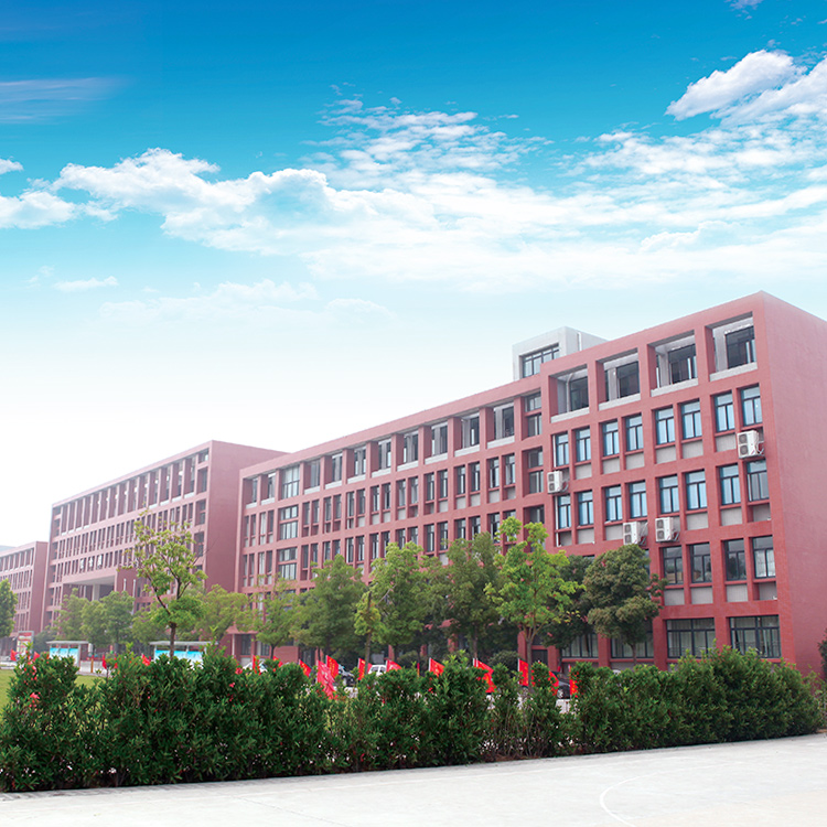 合肥职业学校有哪些?合肥哪个职校好?-安徽新东方烹饪学院