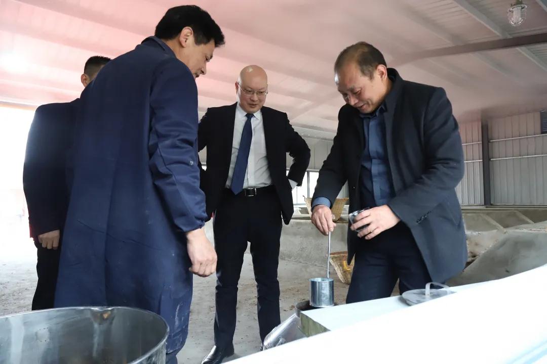 ���£������¶������רҵ����ԭ���׾Ƶ�������