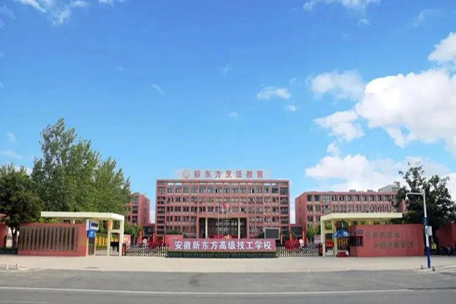 初高中毕业怎么选择学校?小新为你解答