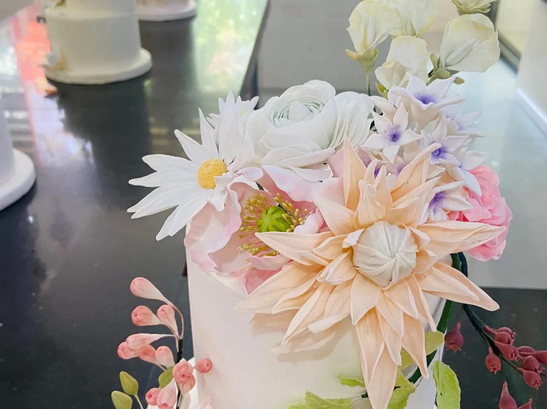 听说安徽新东方的学生都有隐藏技能……