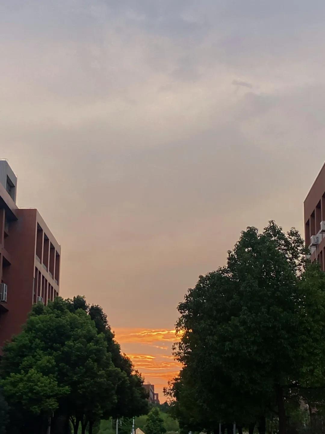 LIFE四个字母诠释安徽新东方学子的生活