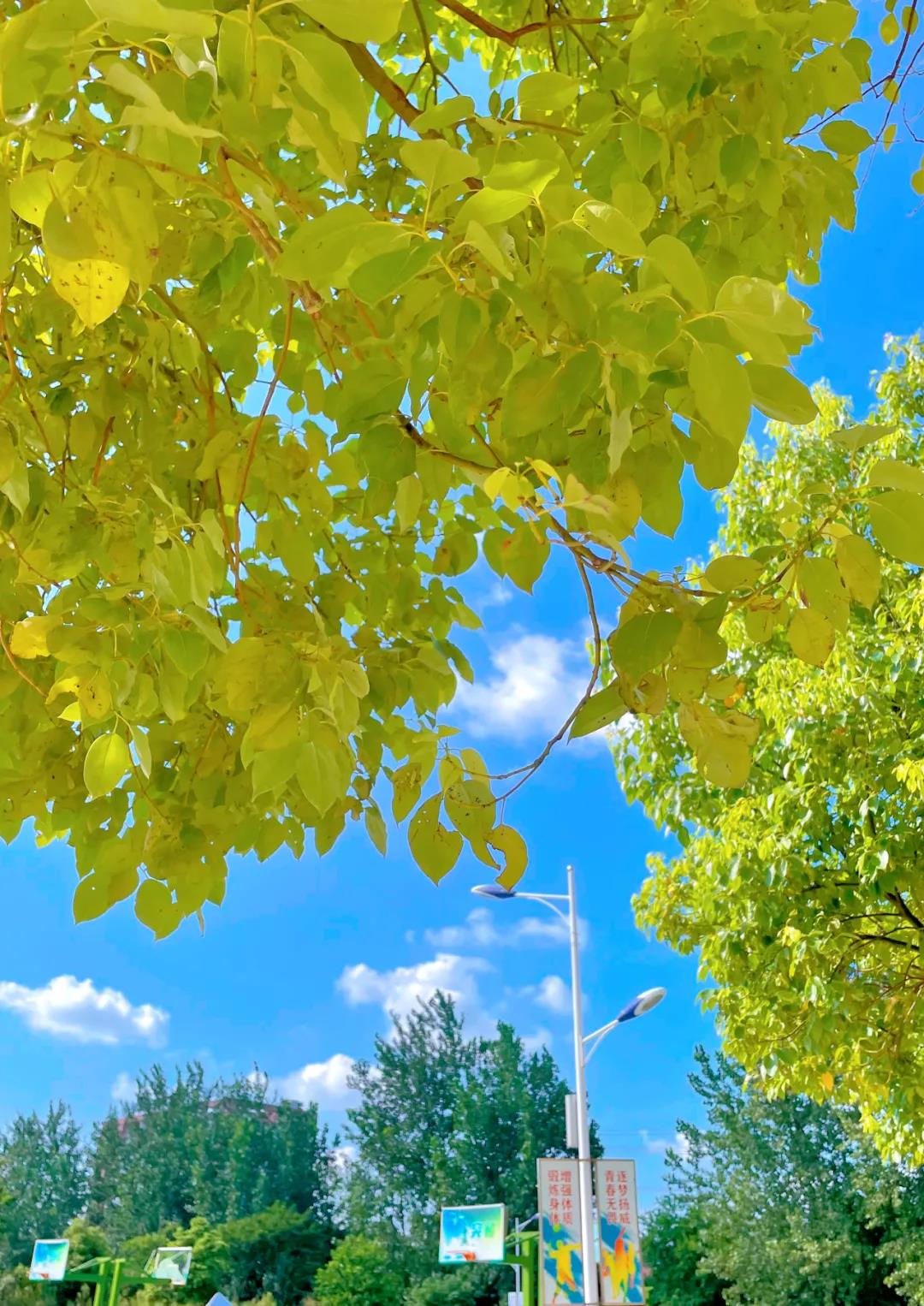 �εεΣ�����һ�����԰����¶����ĵ绰