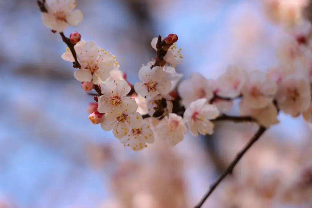 �εεΣ�����һ�����԰����¶����ĵ绰