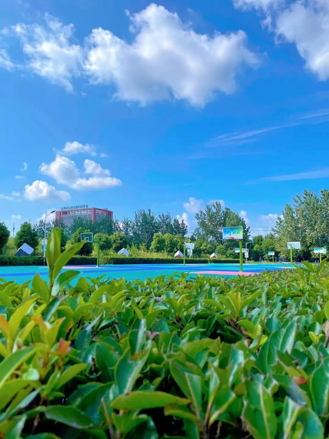 �εεΣ�����һ�����԰����¶����ĵ绰