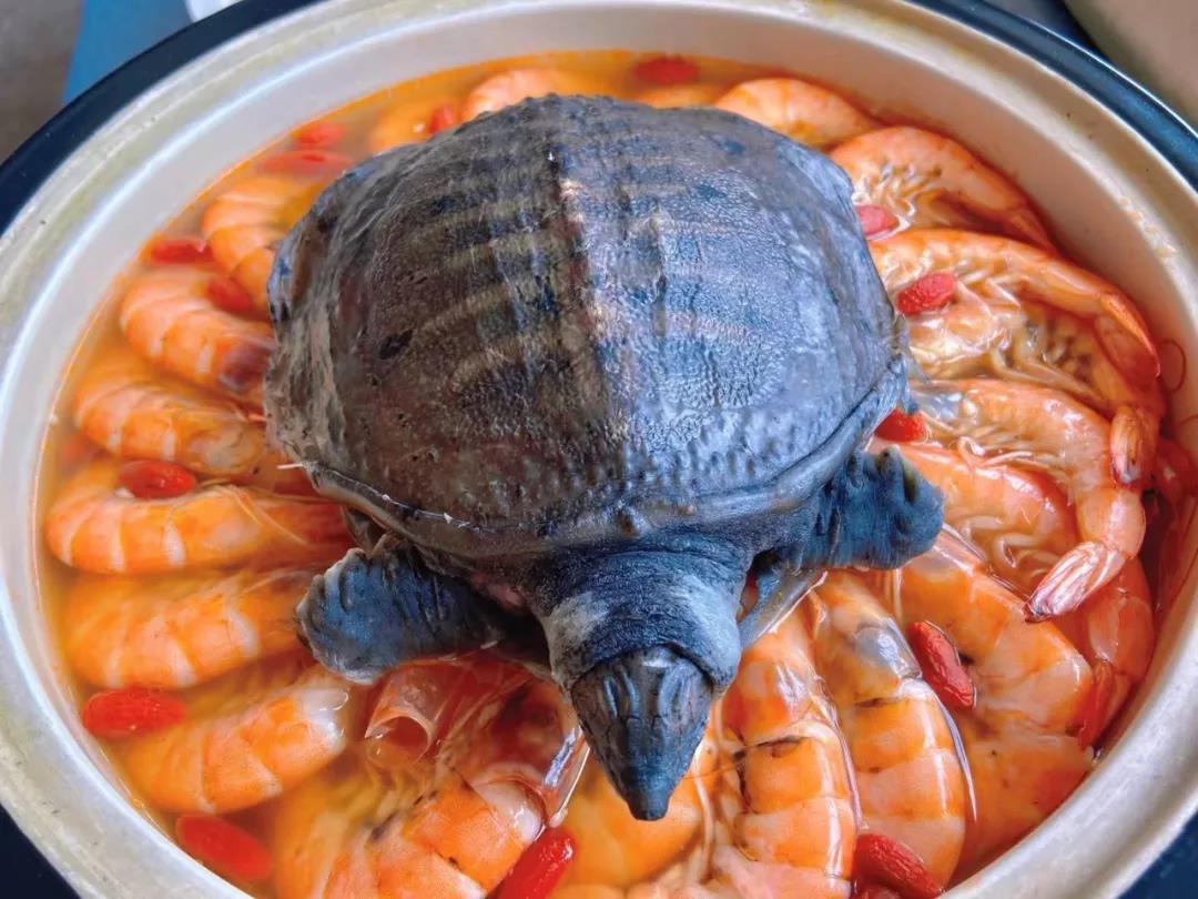 �����¶������ѧУ�в�רҵѧ����Ʒ