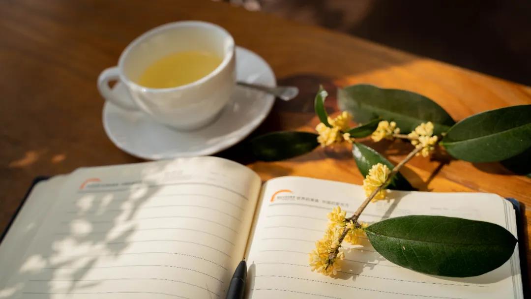 �����¶����Ĺ𻨿������㿴������