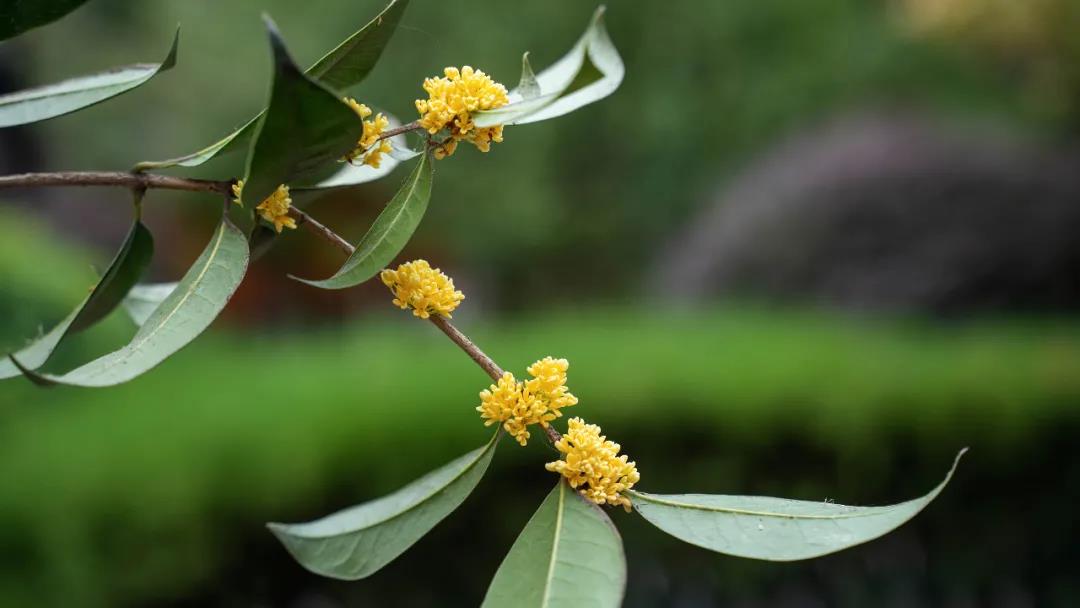 �����¶����Ķ�˲��