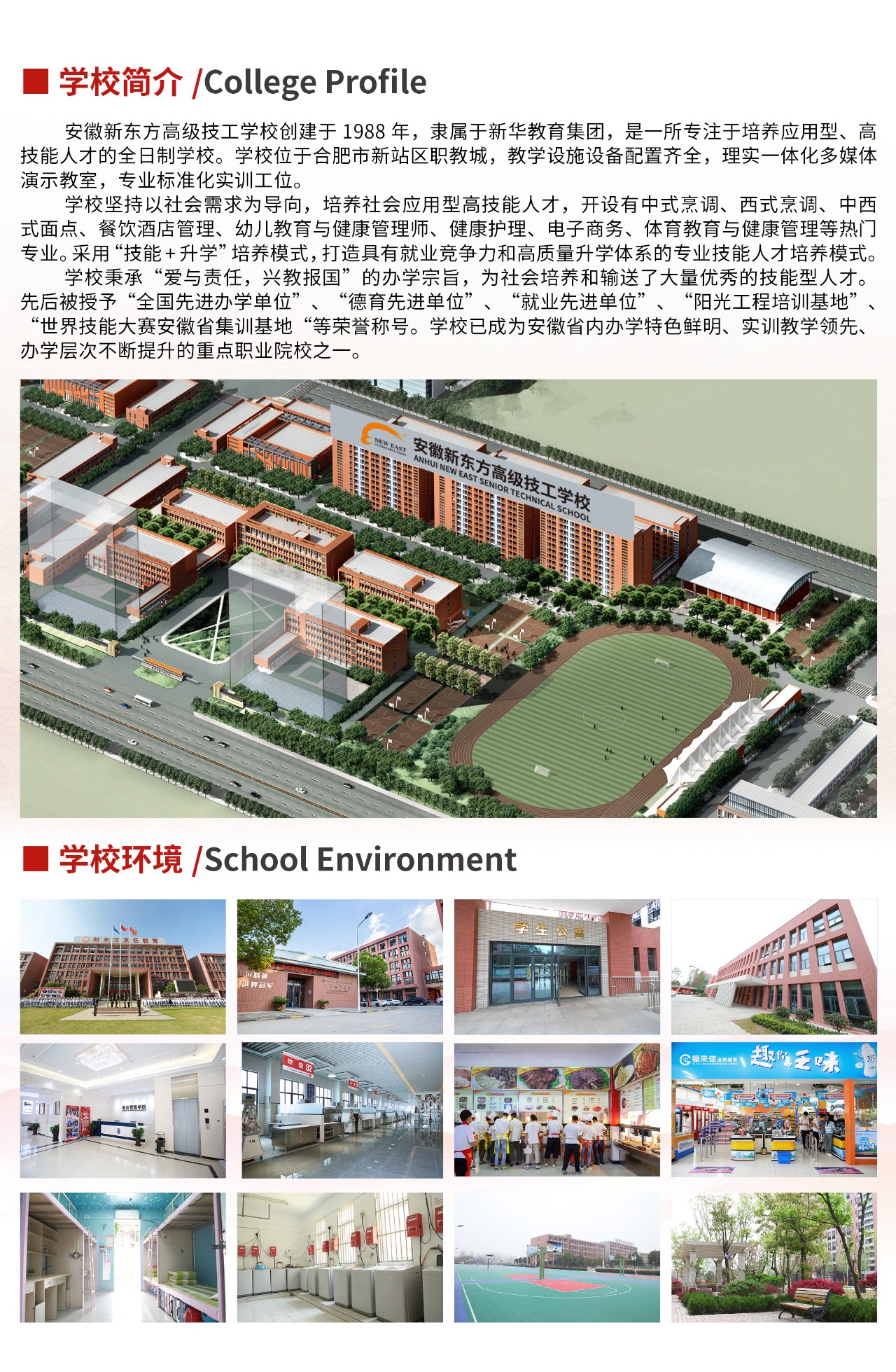 �����¶���2022����������